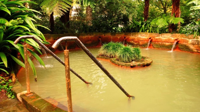 Outdoor natural hot spring pool with steps and greenery.