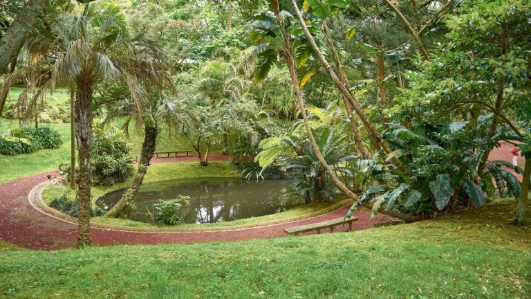 Lush green park with pond and curved pathway, surrounded by tropical trees.
