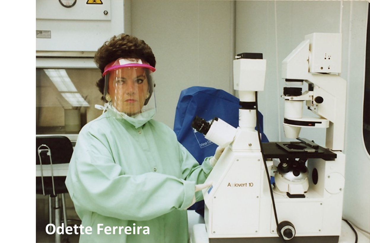 Person in lab gear using a microscope in a laboratory setting.