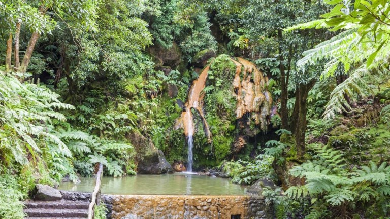 Small waterfall flowing into a pond in a lush, green forest.