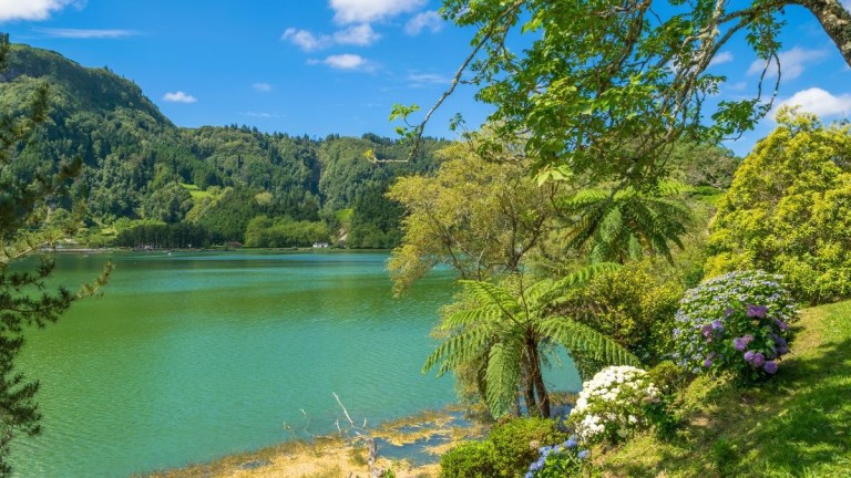 Lush green landscape with a lake, trees, and blue sky with clouds.
