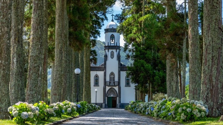 White church with steeple, surrounded by tall trees and colorful flowers.