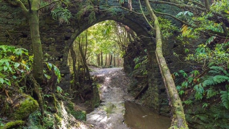 Stone arch bridge in a forested area with a muddy path underneath.