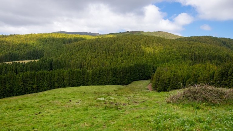Lush green hills with dense forest under a partly cloudy sky.