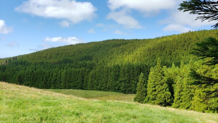 Green grassy field with a forested hill under a blue sky with clouds.