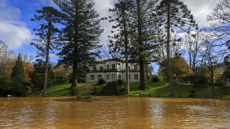 House surrounded by large trees with a flooded yard in foreground.
