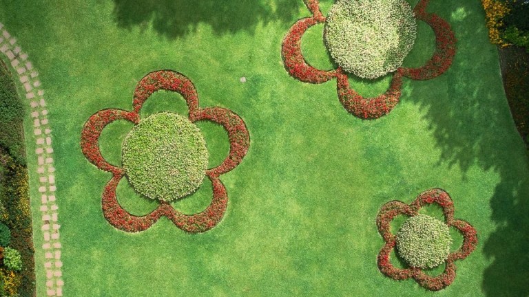 Aerial view of grass with flower-shaped shrub arrangements.