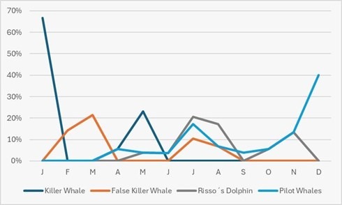 Line graph showing marine mammal sightings per month with varied species.