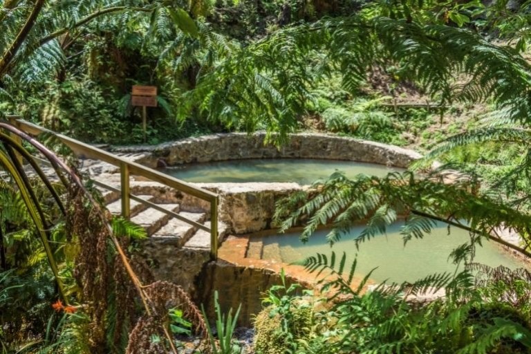 Small stone bridge over natural pond with lush greenery.