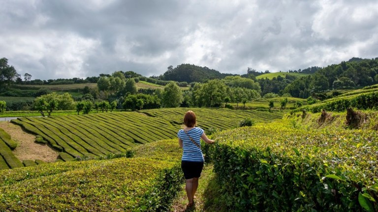 Person walking through green fields under a cloudy sky.