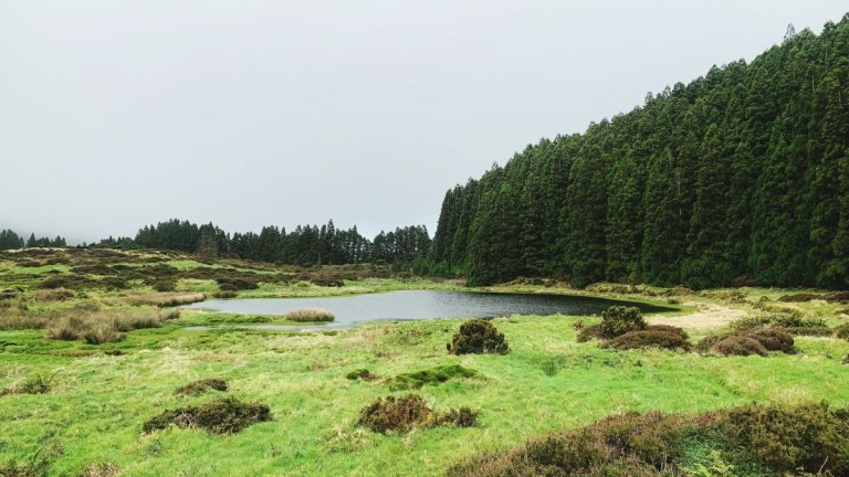 Lush green landscape with a small pond and dense tree line under a cloudy sky.