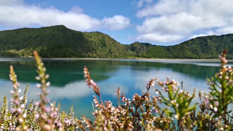 Lake with mountainous backdrop and flowers in the foreground.