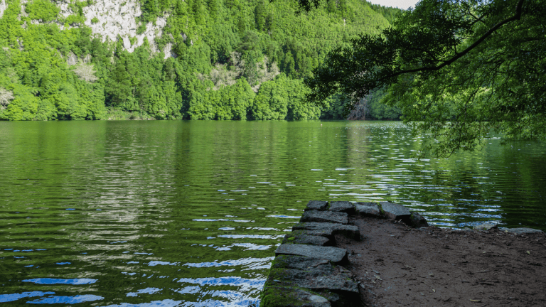 Stone path by a tranquil, tree-lined lake under a clear sky.