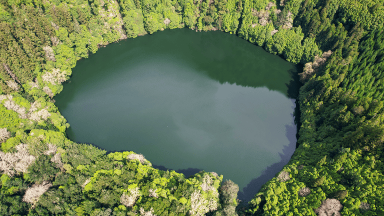 Aerial view of a circular forest lake surrounded by dense green trees.