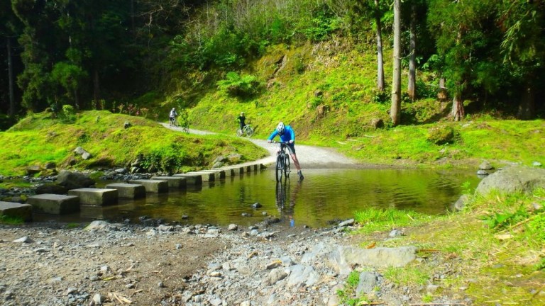 Cyclist crosses shallow stream on a forest trail with trees and greenery.
