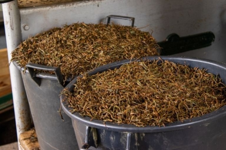 Two buckets filled with dried leaves or plant material.