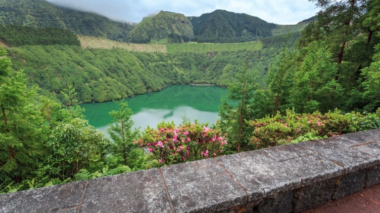 View of a green lake surrounded by lush forest and flowers with a stone wall in the foreground.