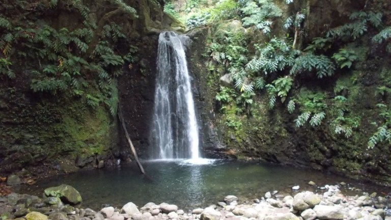 Waterfall cascading into a small rocky pool surrounded by lush greenery.