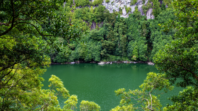 Lush green forest surrounds a tranquil lake under a cloudy sky.
