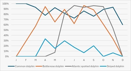 Line graph showing monthly dolphin sightings, with four species differentiated by color.