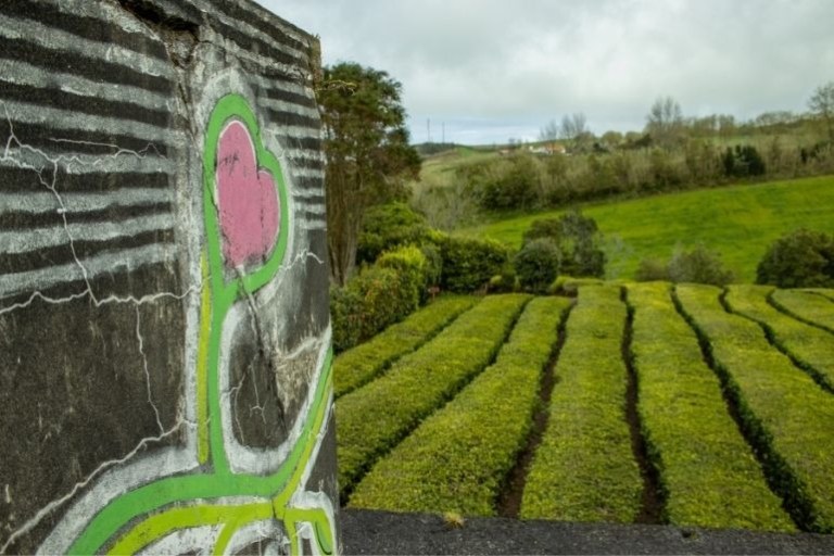 Graffiti on wall with heart, field and trees in background.