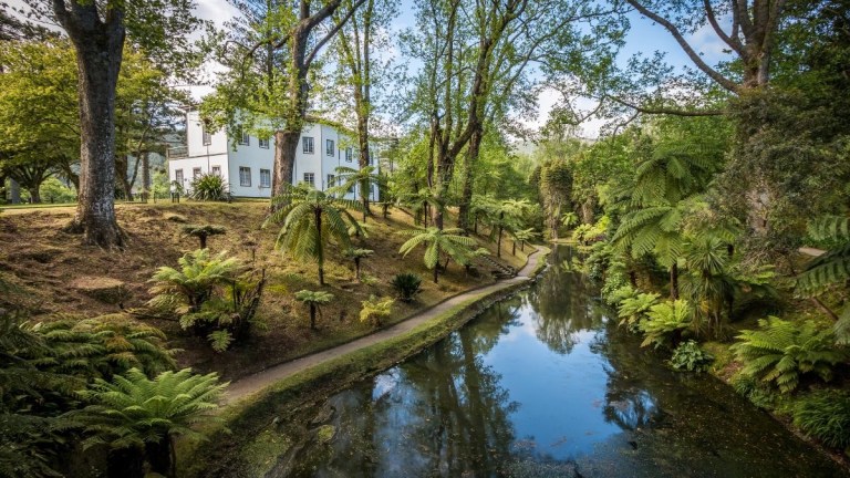 White house surrounded by trees and ferns beside a reflective stream.
