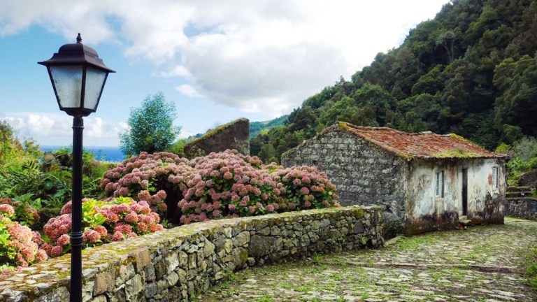 Stone house with red flowers, lamppost, and lush trees in a rural setting.