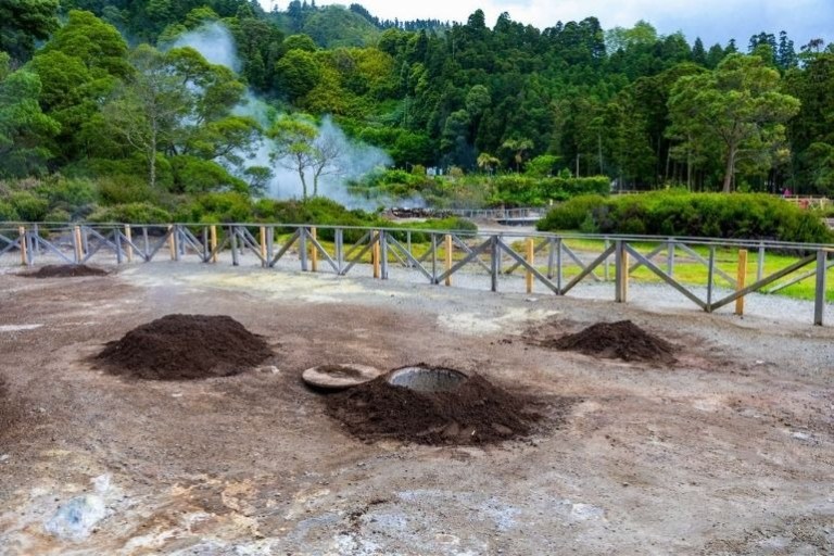 Outdoor hot springs area with wooden fence, steam, and forested background.
