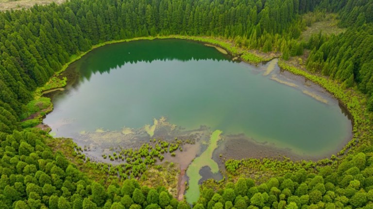 Aerial view of a green forest encircling a large, oval-shaped lake.
