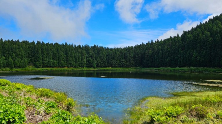 Tranquil lake surrounded by dense forest under a blue sky.