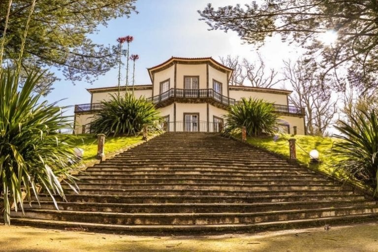 House on hill with large staircase, surrounded by trees and plants.