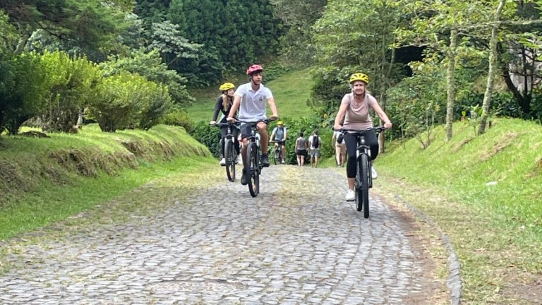 Group of cyclists on a cobblestone path surrounded by trees.