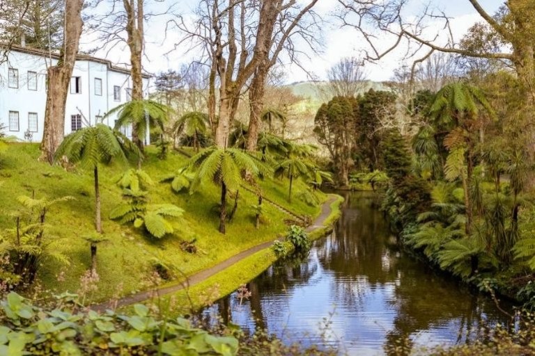 House by a lush garden pond with ferns and bare trees, under a cloudy sky.