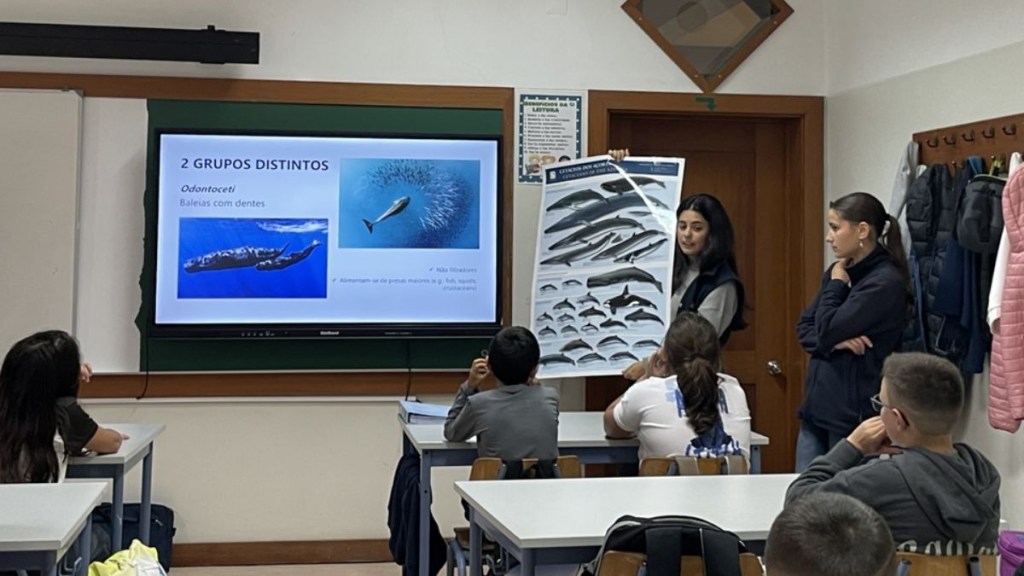Students in a classroom learning about marine animals with visuals on display.