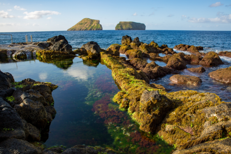 Rocky shore with mossy rocks and tidal pool, distant islands in background.