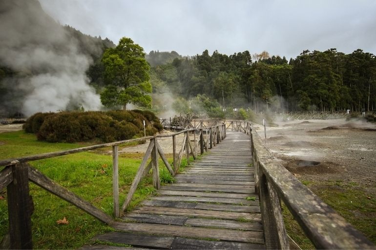 Wooden walkway through a foggy, geothermal landscape with trees.