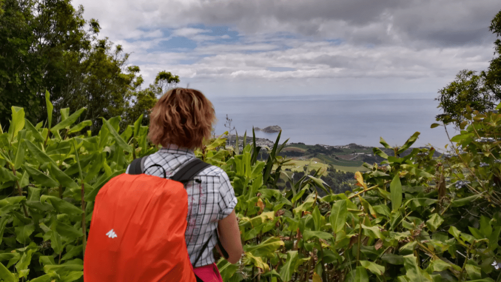 Person with an orange backpack overlooking a lush landscape and ocean view.