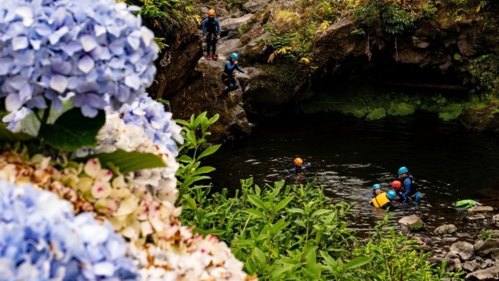 People canyoning near a rocky stream with blue hydrangeas in the foreground.