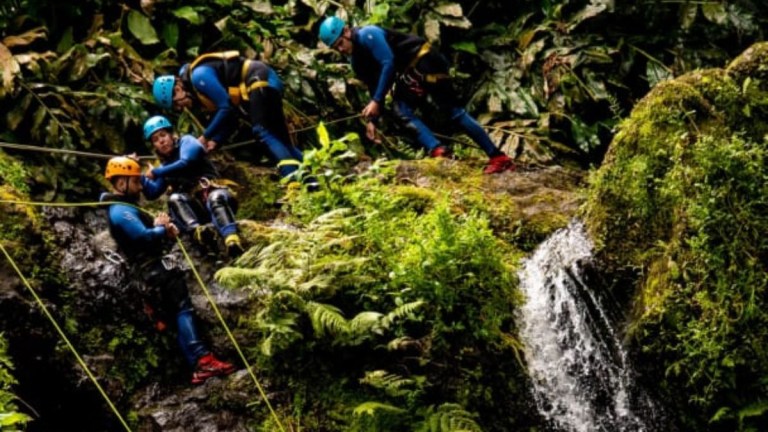 Group of people rappelling down a mossy rock next to a waterfall in a forest.