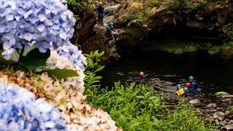 People canyoning near a rocky stream with blue hydrangeas in the foreground.