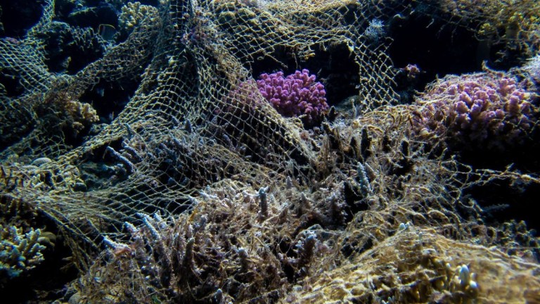 Underwater scene with coral entangled in an old fishing net.