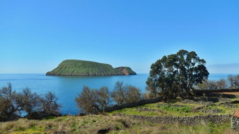 A distant grassy island under a clear blue sky, surrounded by calm ocean, with trees and stone walls in the foreground.
