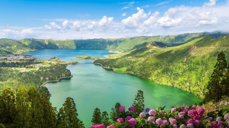 Lush green landscape with a lake and flowers under a blue sky.