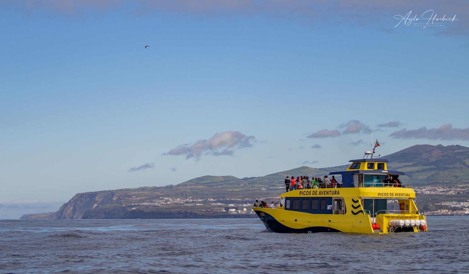 Yellow boat on ocean with land and mountains in the background.