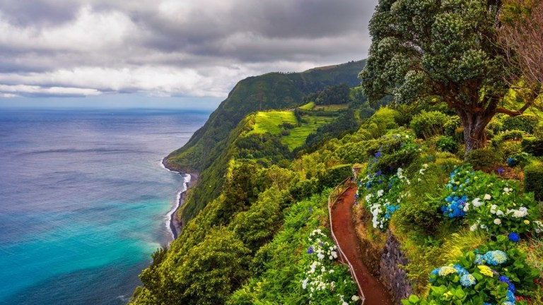 Coastal cliff with blue flowers and trees overlooking the ocean under cloudy sky.
