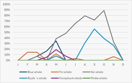 Line graph of whale sightings by months, with peaks in spring and late summer.