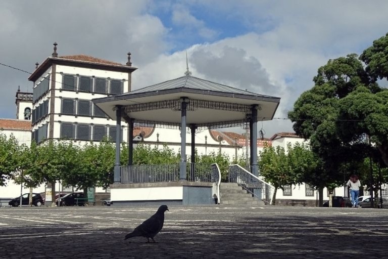 Pigeon near gazebo in a park with trees and buildings in the background.