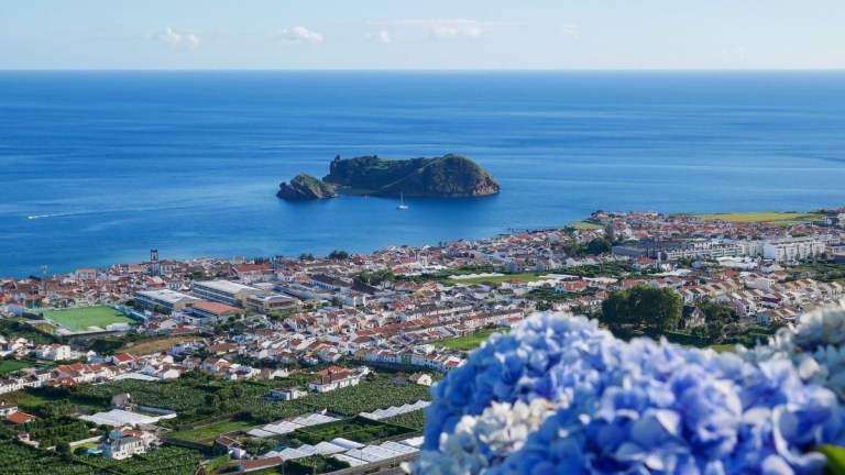 Coastal town view with island and blue flowers in foreground.