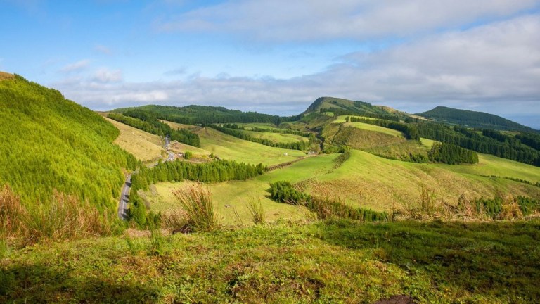 Vast green hills with a few trees under a blue sky with clouds.