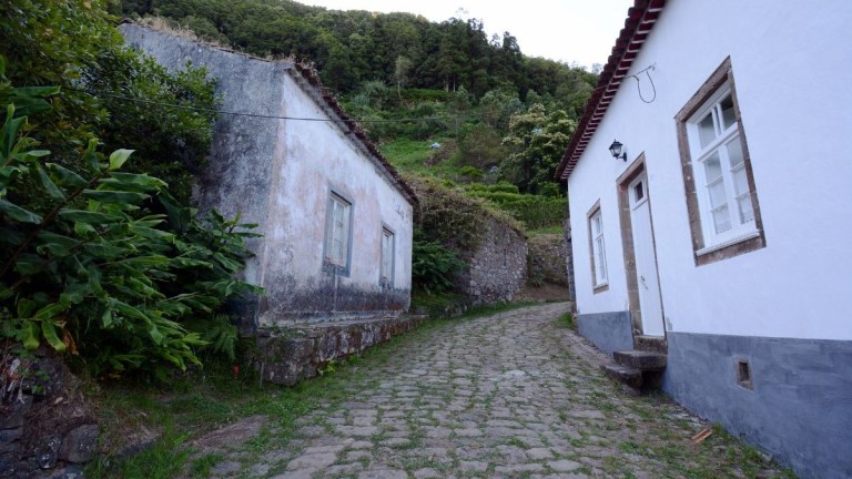 Two rustic houses along a cobblestone path with greenery.